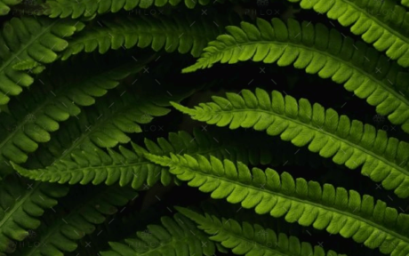 demo-attachment-560-daniel-mirlea-fxiAxNLpoqI-unsplash@2x