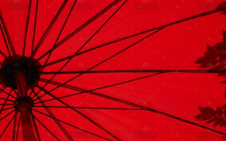 demo-attachment-1549-loic-furhoff-YERwza88a0o-unsplash@2x