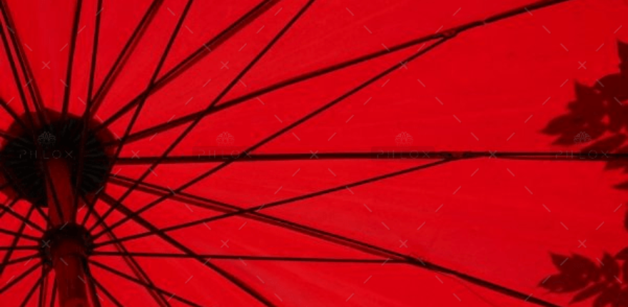 demo-attachment-1549-loic-furhoff-YERwza88a0o-unsplash@2x